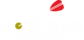 Bowmen of Warfield